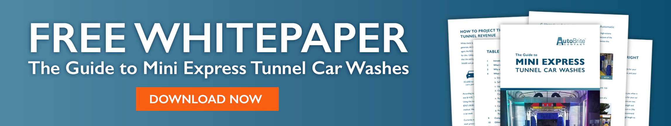 Free Guide to Mini Express Tunnel Car Washes