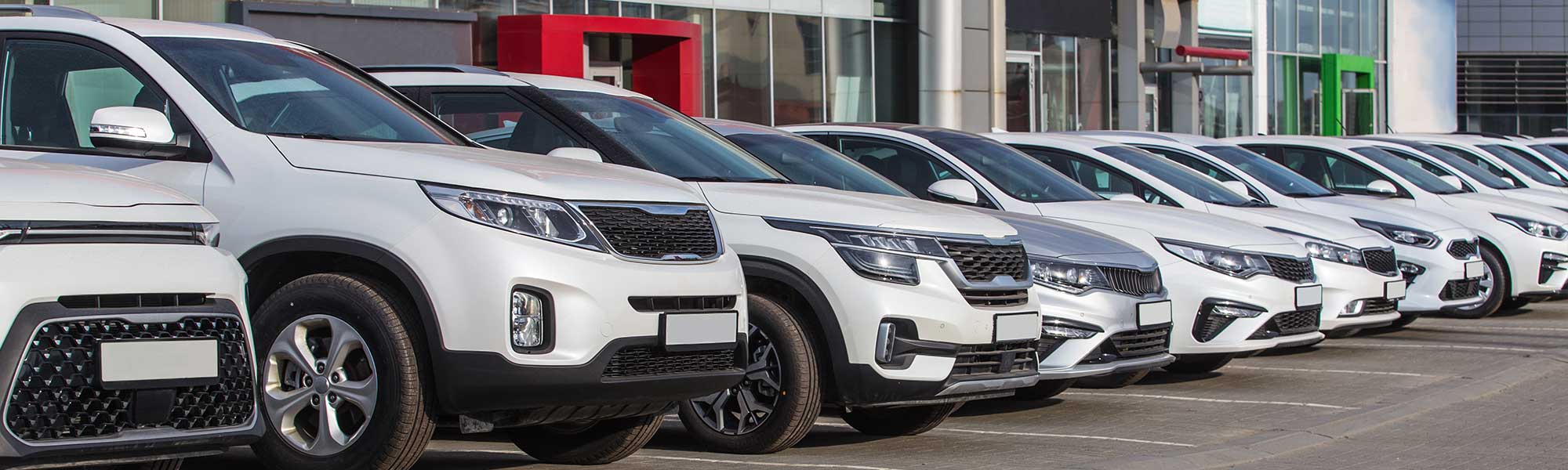 a line up of white cars and SUVs outside a car dealership